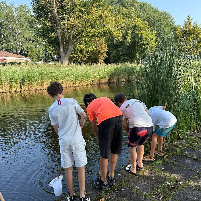 Cleansup5